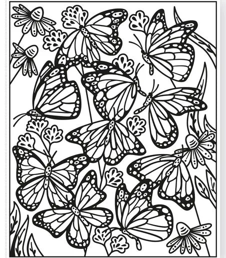 Butterflies Magic Painting Book