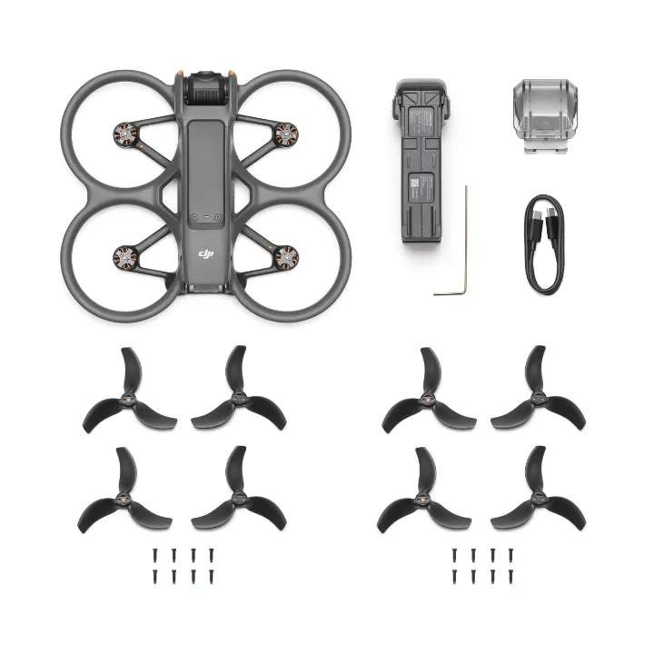 DJI Avata 2 (Drone Only)