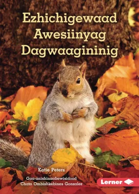 Ezhichigewaad Awesiinyag Dagwaagininig (What Animals Do in Fall). Ojibwemowin.