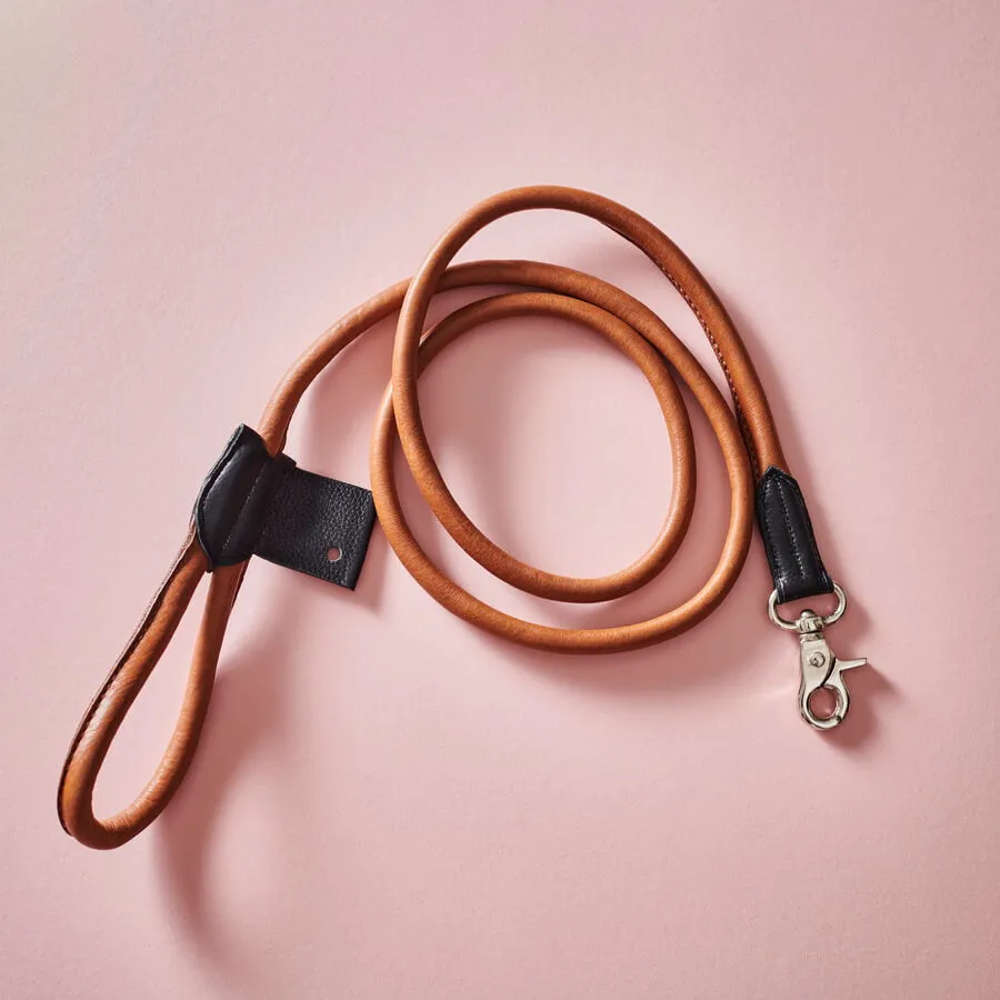 Personalised Leather Dog Lead