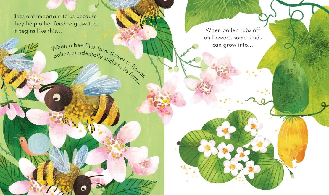 Usborne Peep Inside: a Beehive | Board Book